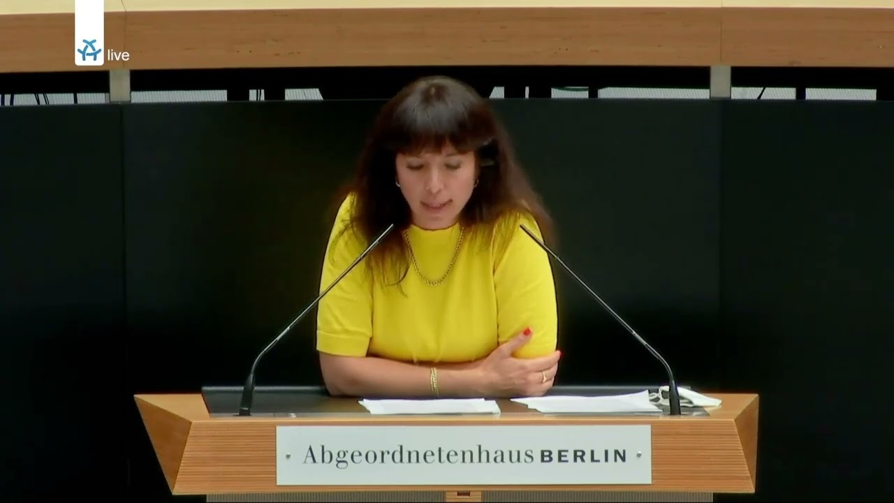 Partizipation Und Antidiskriminierung Die Linke Fraktion Im 